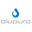 Blupura